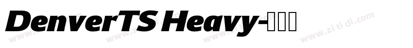 DenverTS Heavy字体转换